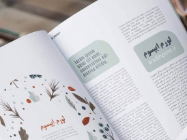 دسته بندی ویدئو اول